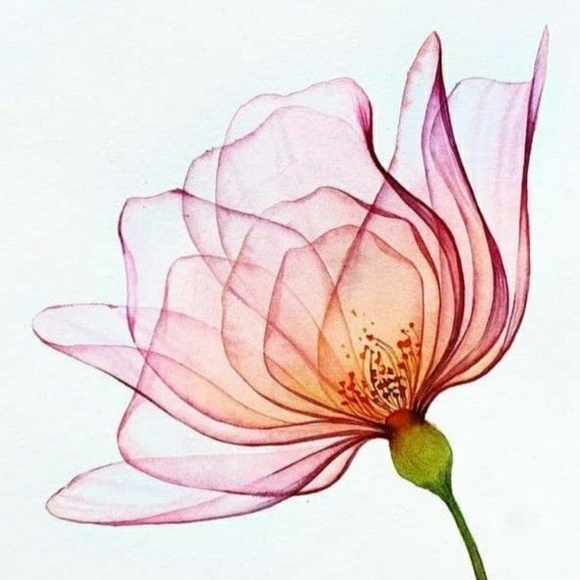 Meet your posher,Sylvie! - Picture 2 of 2